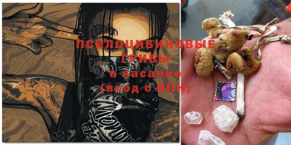 мдпв Зеленокумск